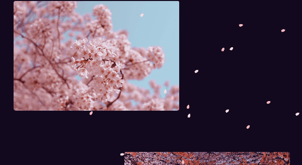 スクロールに合わせて桜の花びらが舞う