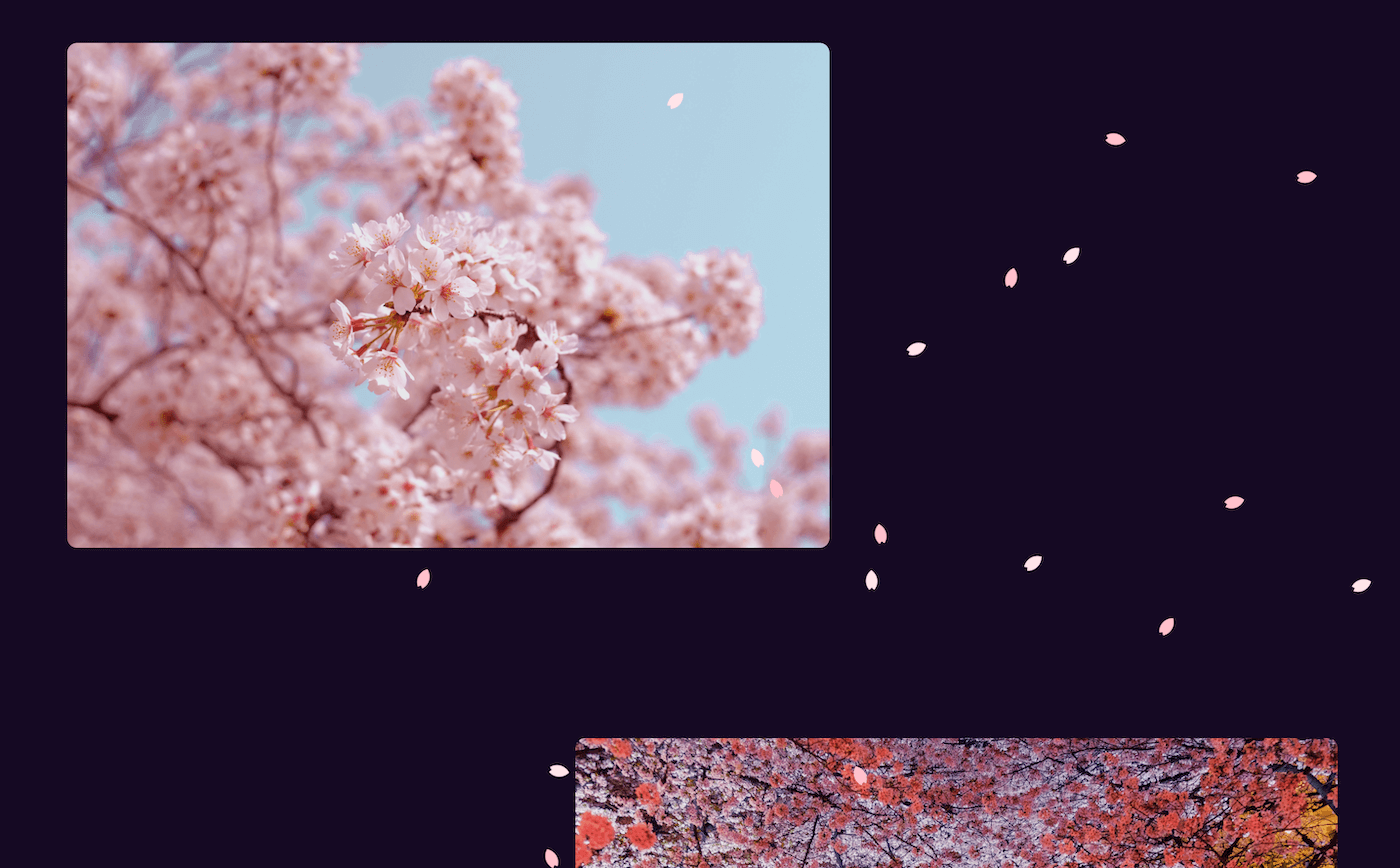スクロールに合わせて桜の花びらが舞う
