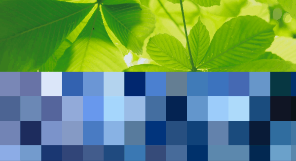 モザイクがかかった状態で画像が表示され、スクロールするとモザイクが徐々に外れる